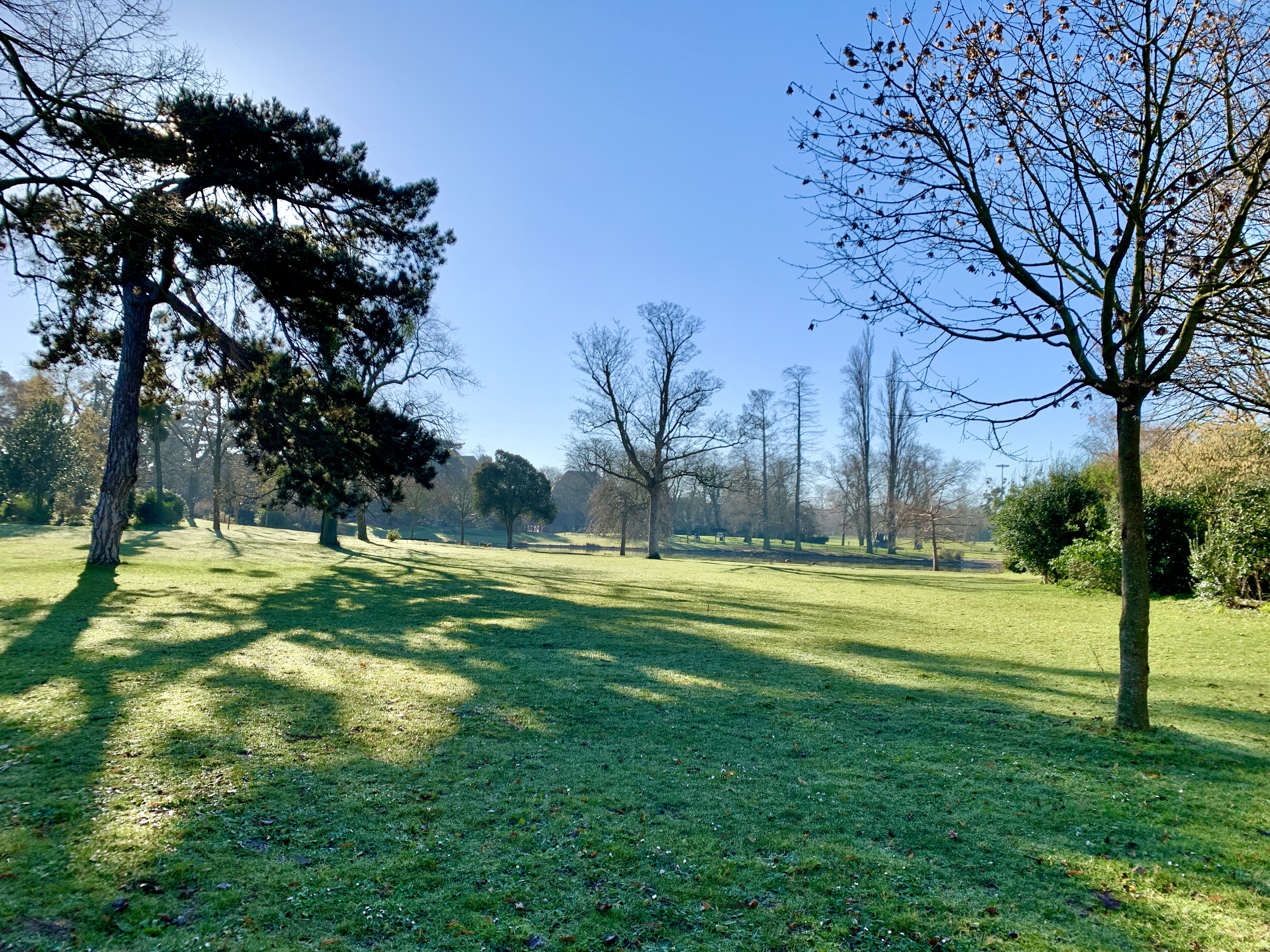 Photo n° 45 de l'avis de Agnès. fait le 10/02/2022 à 08:51