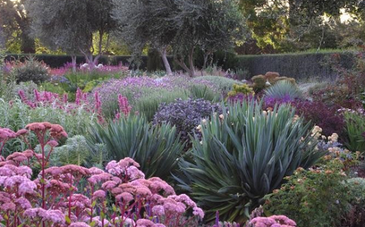 Paige Kaye, Santa Barbara Broker image