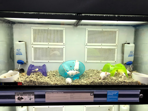 Pet Supply Store «Petco Animal Supplies», reviews and photos, 3194 FM407, Highland Village, TX 75077, USA