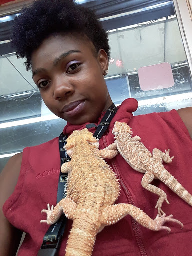 Pet Store «Petland Discounts - Pitkin Avenue», reviews and photos, 1689 Pitkin Ave, Brooklyn, NY 11212, USA