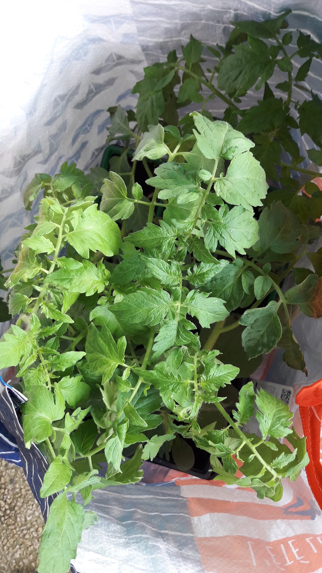 Photo n° 2 de l'avis de Cendrine.O fait le 05/05/2018 à 15:35