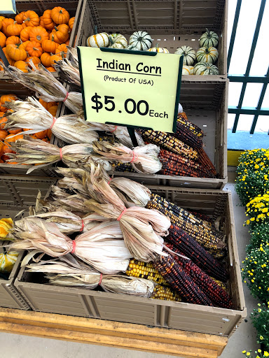 Produce Market «Produce Junction Inc», reviews and photos, 272 Pottstown Pike, Exton, PA 19341, USA