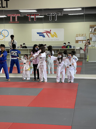 World Champion Taekwondo Martial Arts Sharon Springs image 7