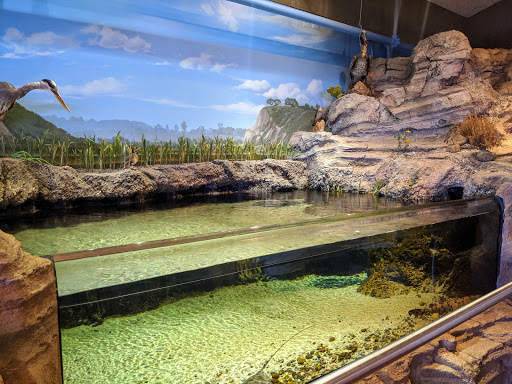 Nature Preserve «Peter and Mary Muth Interpretive Center», reviews and photos, 2301 University Dr, Newport Beach, CA 92660, USA