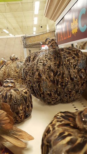 Fabric Store «Jo-Ann Fabrics and Crafts», reviews and photos, 2405 SW 27th Ave, Ocala, FL 34471, USA