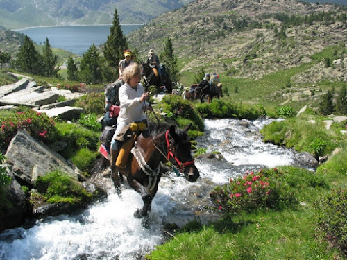 Cheval en Pyrénées - Base de randonnées à cheval dans les Pyrénées à Camurac