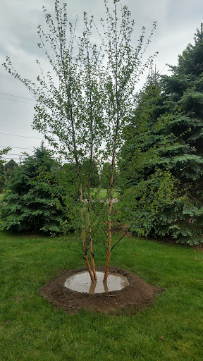 Landscape Designer «Hamilton Landscape Supply & Nursery», reviews and photos, 20612 Capital Ave NE, Battle Creek, MI 49017, USA