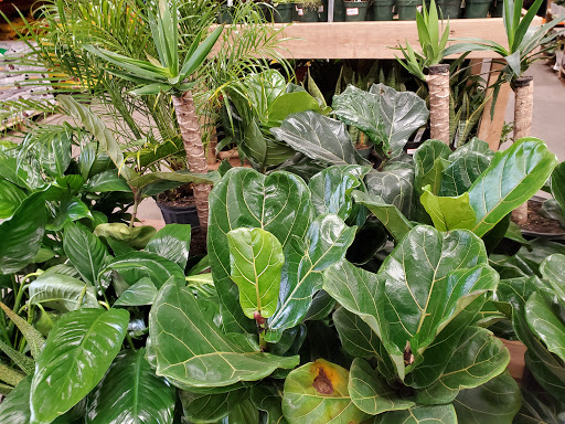 Home Improvement Store «The Home Depot», reviews and photos, 4900 SE 14th St, Des Moines, IA 50320, USA