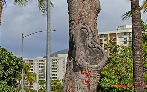ハートの木 image