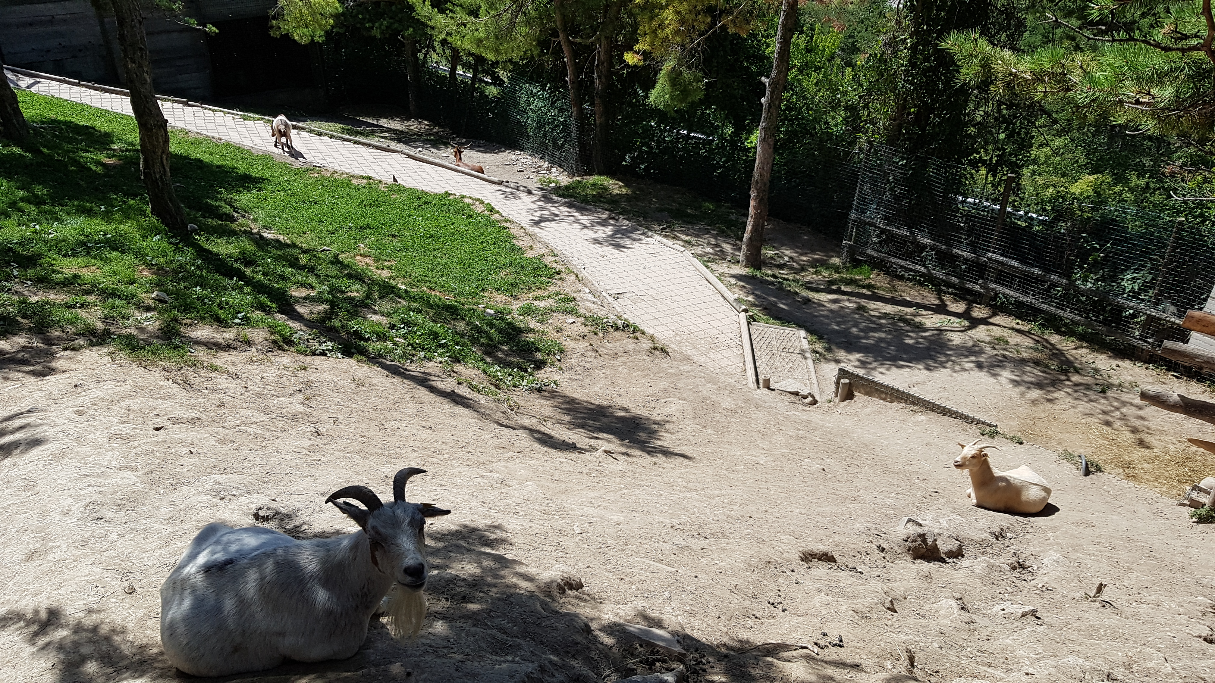 Photo n° 7 de l'avis de TonTon.e fait le 26/08/2018 à 21:52