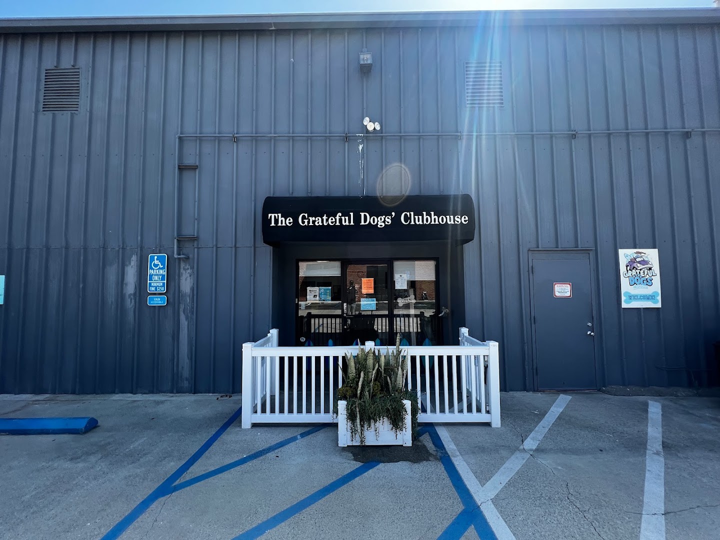 The Grateful Dogs Clubhouse