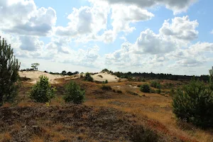 Drents-Friese Wold image