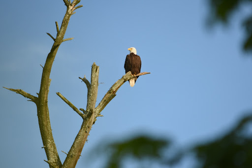 Outdoor Sports Store «Edge of the Woods Outfitters», reviews and photos, 110 Main St, Delaware Water Gap, PA 18327, USA