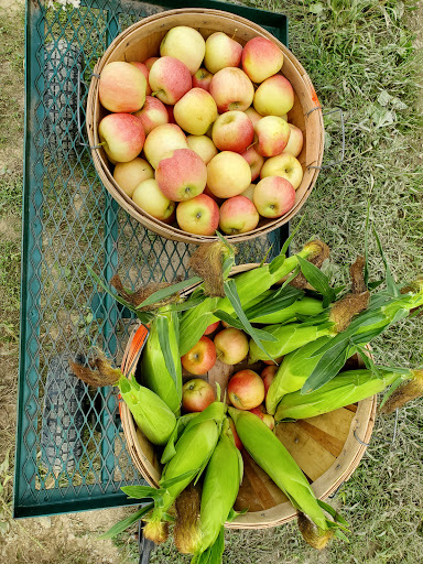 Produce Market «Race Farm», reviews and photos, 87 Belcher Rd, Blairstown, NJ 07825, USA