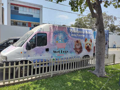 Wet Dogs Mobile Pet Spa