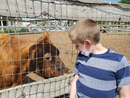 Social Services Organization «Lambs Farm», reviews and photos, 14245 W Rockland Rd, Libertyville, IL 60048, USA