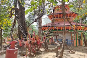 Raj Devi Mandir image