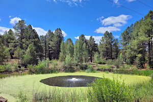The Arboretum at Flagstaff