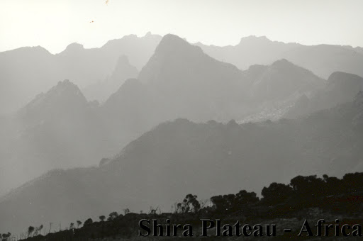 Personal Injury Attorney «Lombardi Law Firm», reviews and photos