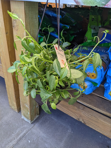 Pet Supply Store «Petco Animal Supplies», reviews and photos, 30697 US Hwy 19 N, Palm Harbor, FL 34684, USA