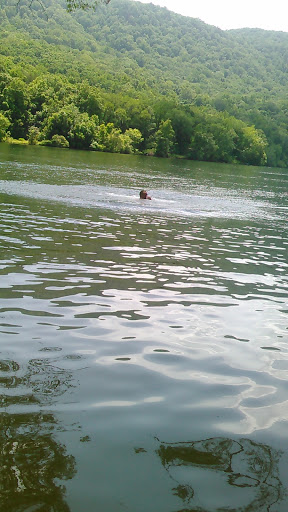 National Park «Chickamauga & Chattanooga National Military Park», reviews and photos, 3370 Lafayette Rd, Fort Oglethorpe, GA 30742, USA