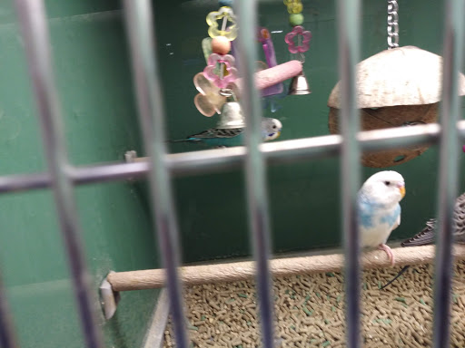 Pet Supply Store «Pet Club Santa Rosa», reviews and photos, 1935 Santa Rosa Ave, Santa Rosa, CA 95407, USA