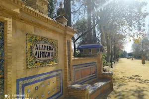 Alameda Alfonso XIII image