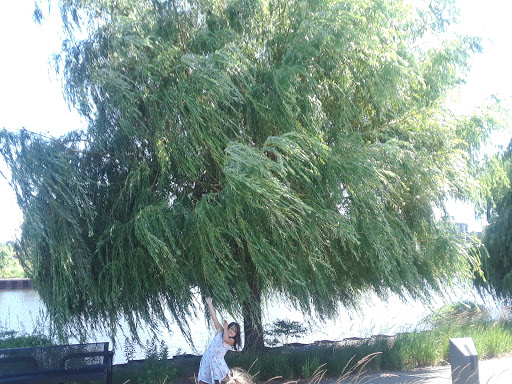 History Museum «Harley-Davidson Museum®», reviews and photos, 400 W Canal St, Milwaukee, WI 53201, USA