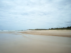 Zdjęcie Plumbago Beach z poziomem czystości wysoki
