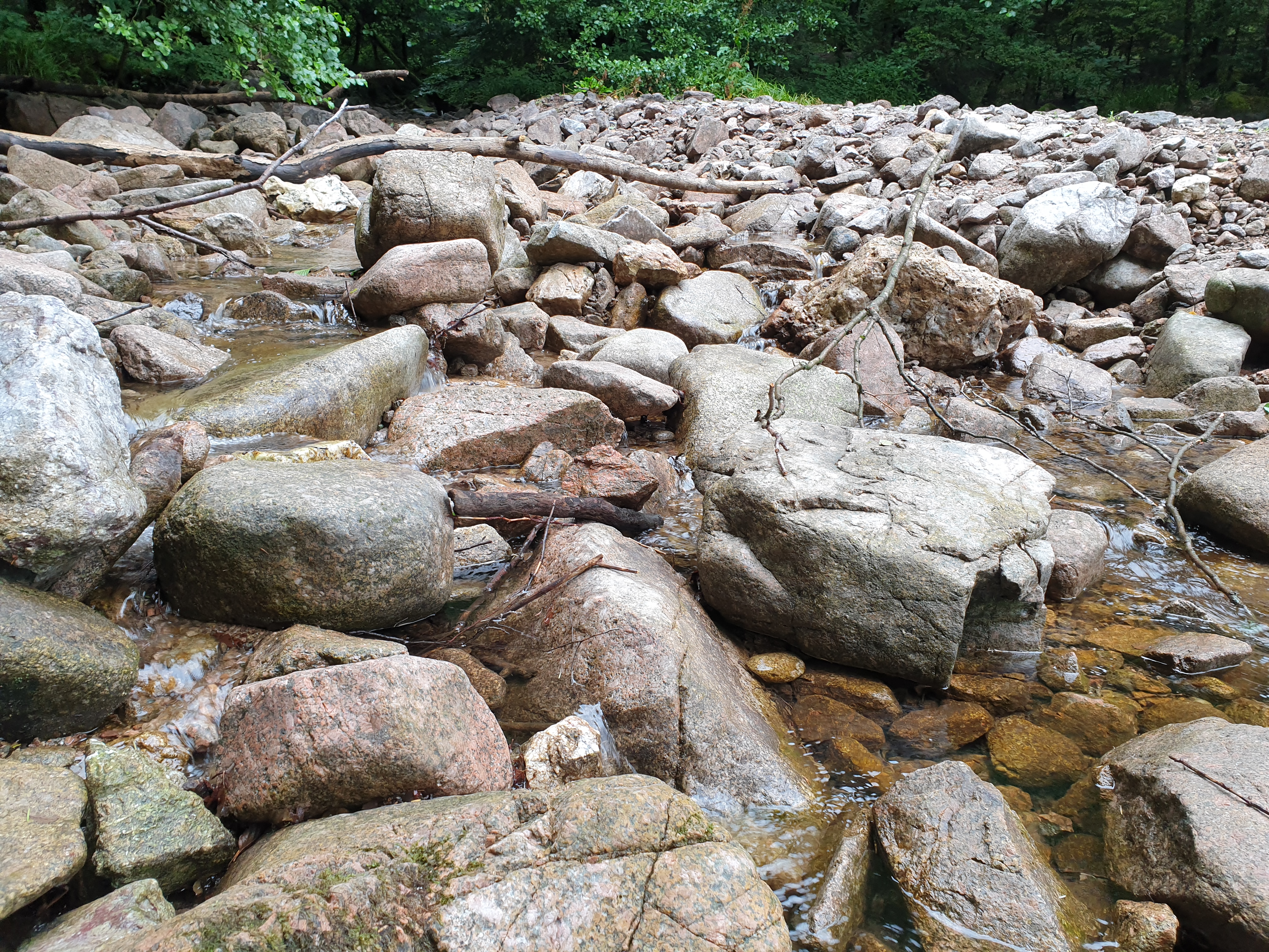 Photo n° 6 de l'avis de Christophe.r fait le 28/07/2019 à 18:55