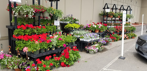 Supermarket «Vista Foods», reviews and photos, 376 S Main St, Laconia, NH 03246, USA