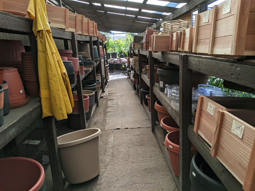 Plant Nursery «San Gabriel Nursery & Florist», reviews and photos, 632 S San Gabriel Blvd, San Gabriel, CA 91776, USA