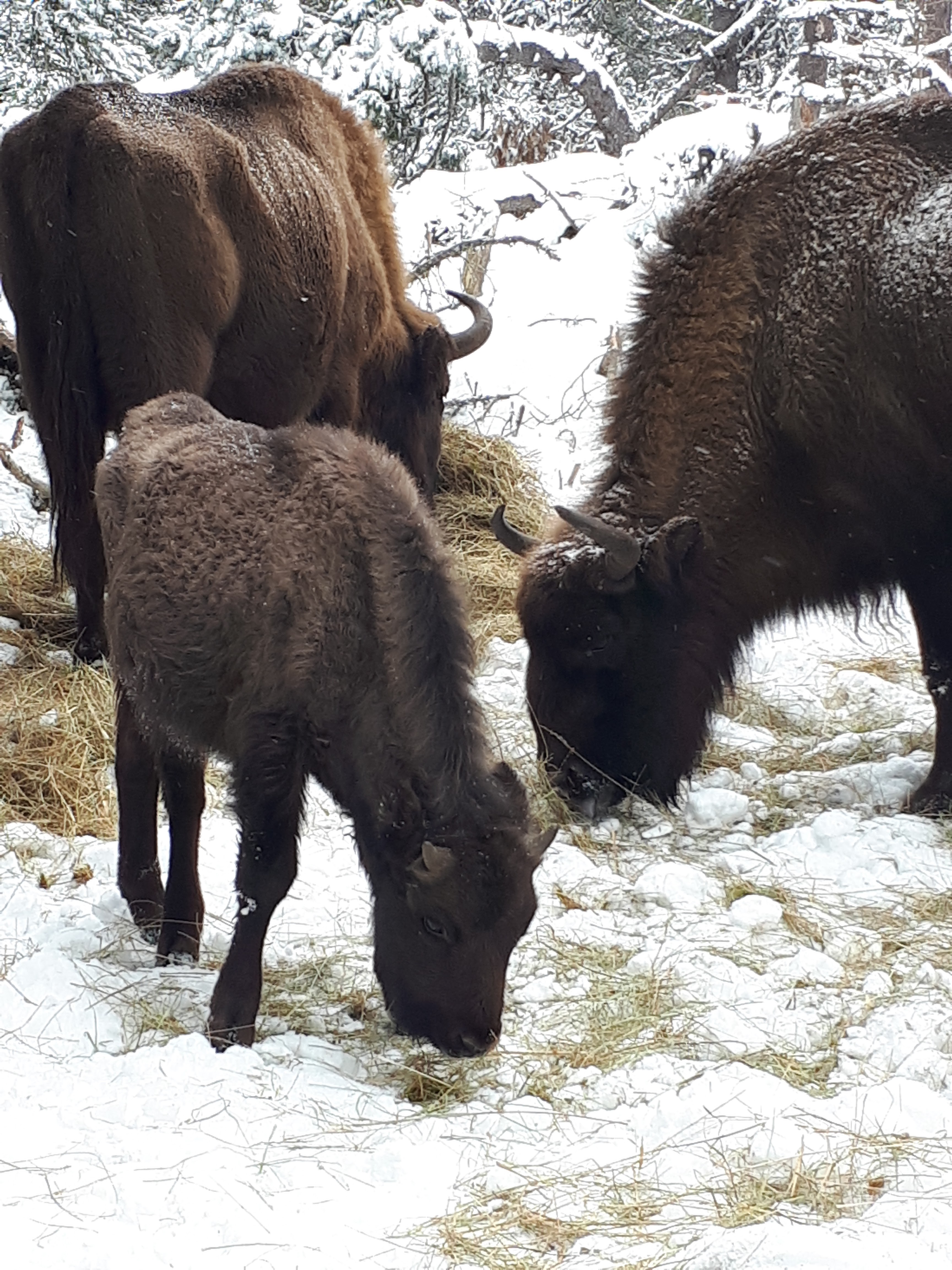 Photo n° 3 de l'avis de Romain.o fait le 26/02/2018 à 13:20