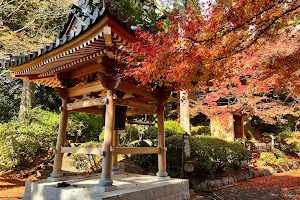 Daikozenji Temple image