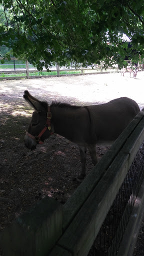 Tourist Attraction «Cleveland Zoo Train Station», reviews and photos, Wildlife Way, Cleveland, OH 44109, USA