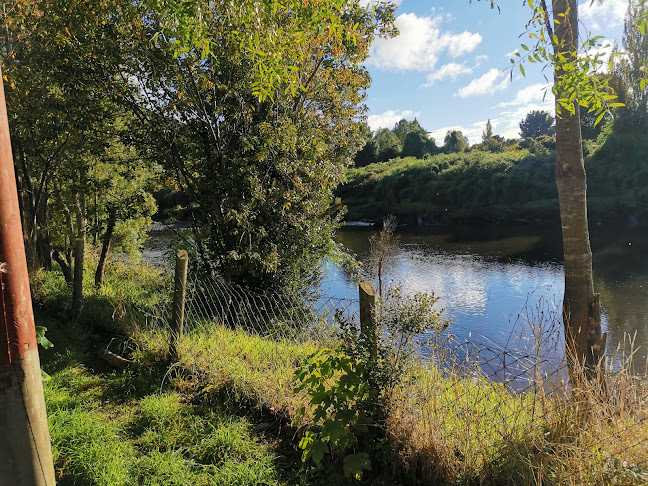 Camping Las Bandurrias - Puerto Montt