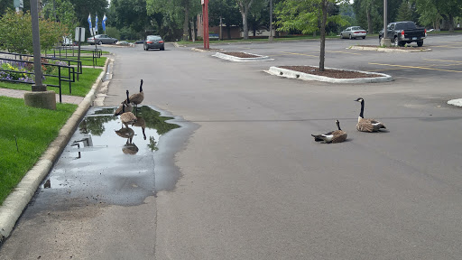 Movie Theater «Emagine Willow Creek», reviews and photos, 9900 Shelard Parkway Plymouth, Plymouth, MN 55441, USA