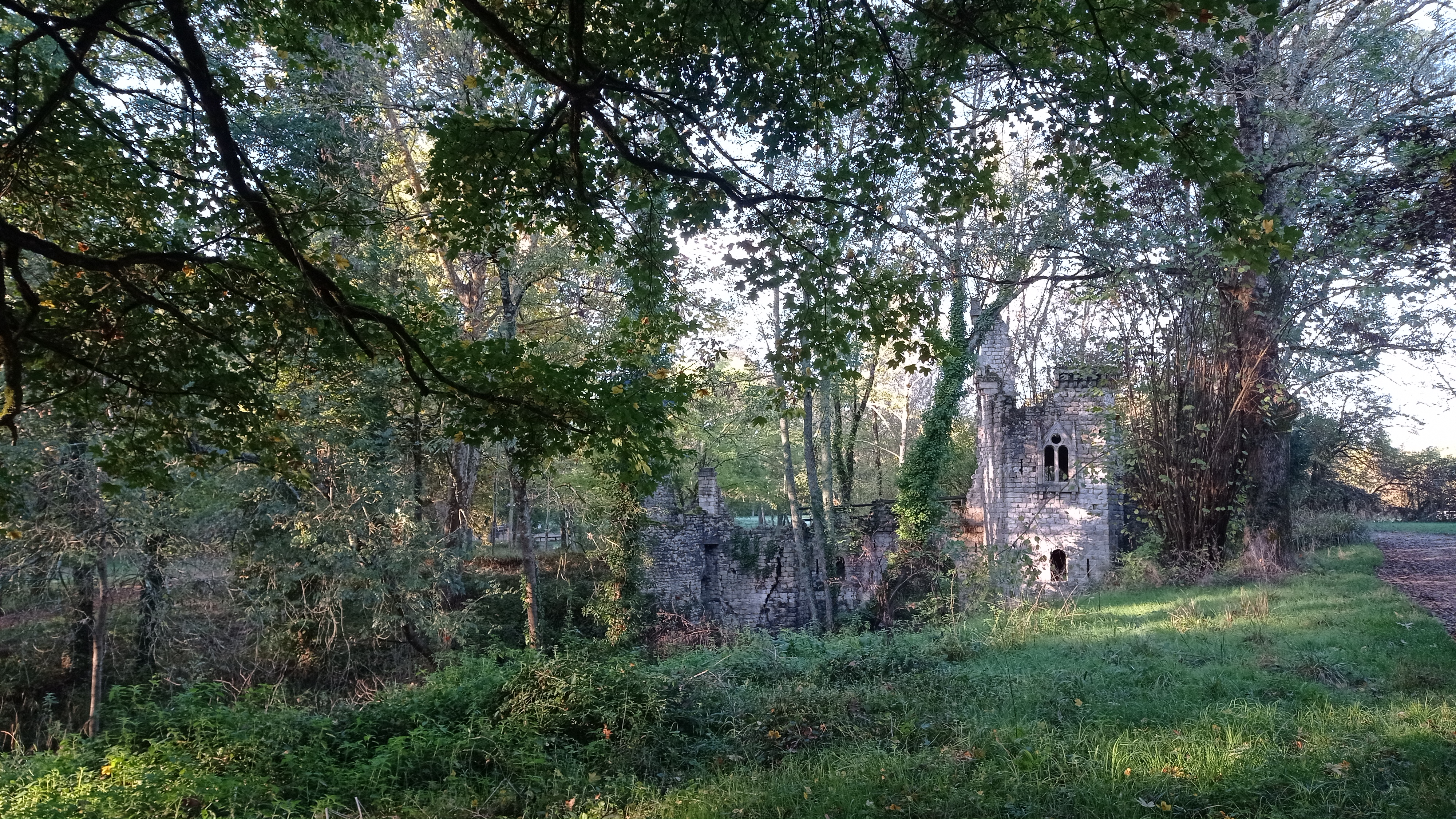 Photo n° 7 de l'avis de Gaia.e fait le 30/10/2022 à 19:45
