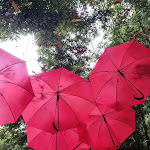 Photo n° 6 de l'avis de Jean-Christophe.e fait le 01/09/2021 à 20:07 pour Jardin des Fontaines Pétrifiantes à La Sône