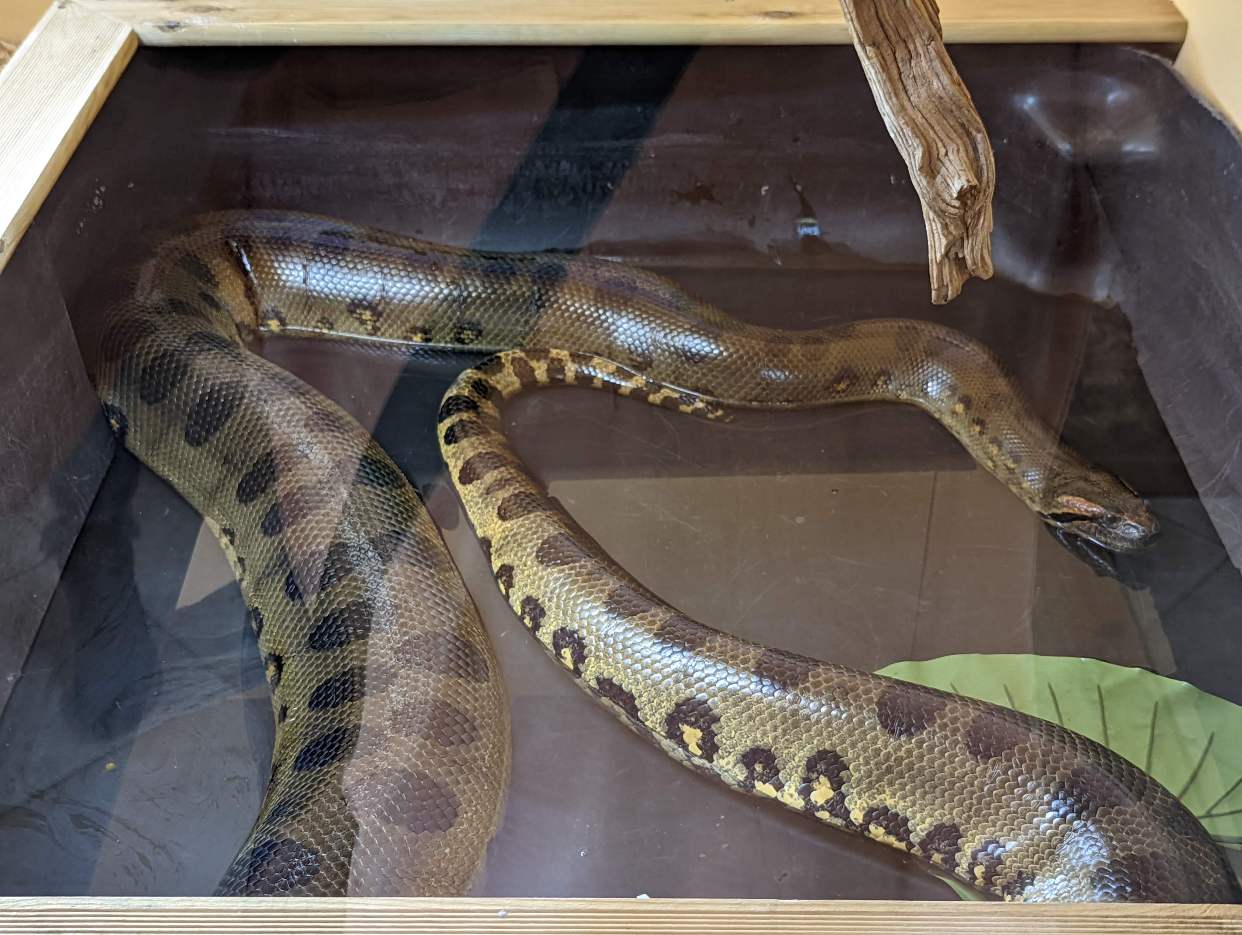 Photo n° 1 de l'avis de Mathieu.I fait le 07/05/2022 à 19:56