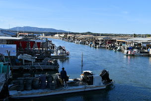 Photo n°10 de Centre Conchylicole à Leucate ()