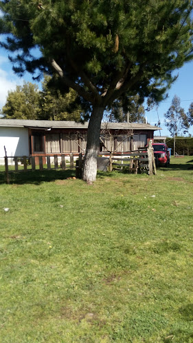 Comentarios y opiniones de Camping Cabañas Chalhuaco, San Ramón