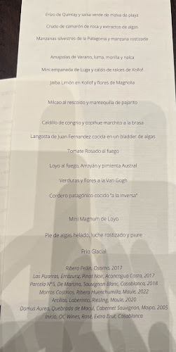 Opiniones de Boragó en Vitacura - Restaurante