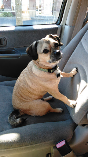 Pet Supply Store «PetSmart», reviews and photos, 2122 N 2nd St, Millville, NJ 08332, USA