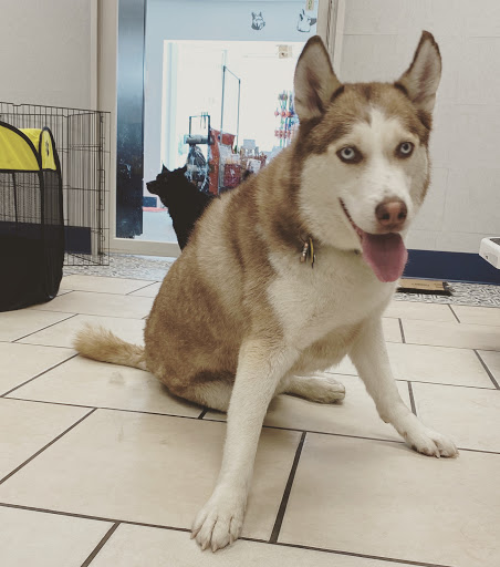 Pet Supply Store «Pet Wants», reviews and photos, 9486 S Union Square, Sandy, UT 84070, USA