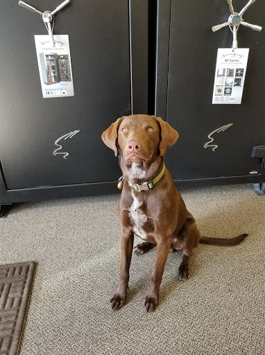 Locksmith «All Secure Lock & Security», reviews and photos, 12371 W 64th Ave Unit C, Arvada, CO 80004, USA