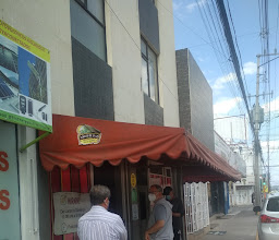 Pollos de la 25 photo