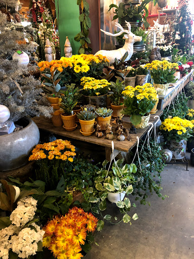 Garden Center «Copia Home and Garden», reviews and photos, 475 Smith Ridge Rd, South Salem, NY 10590, USA