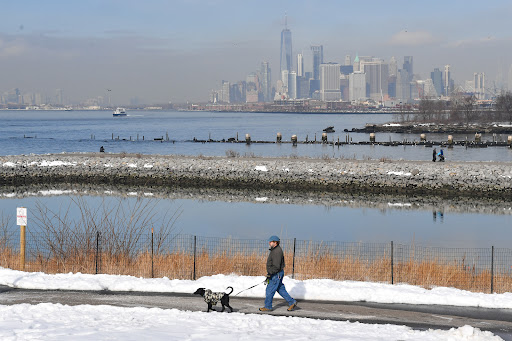 Bush Terminal Piers Park image 1