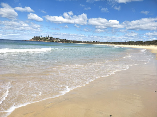 Potato Point Beach